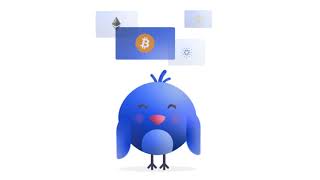 Divly Guides - Wallets