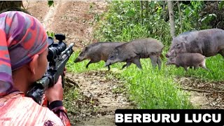 BERBURU BABI HUTAN PALING KOCAK POIN 2 EKOR