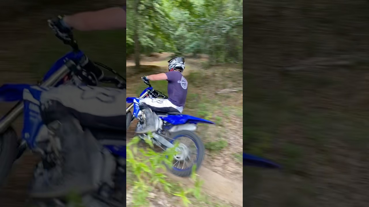 This Is How Our Summer Went… 