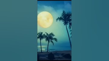 تلاوة مباركة من سورة الحج