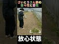 ⚠虫嫌いな農家の娘⚠