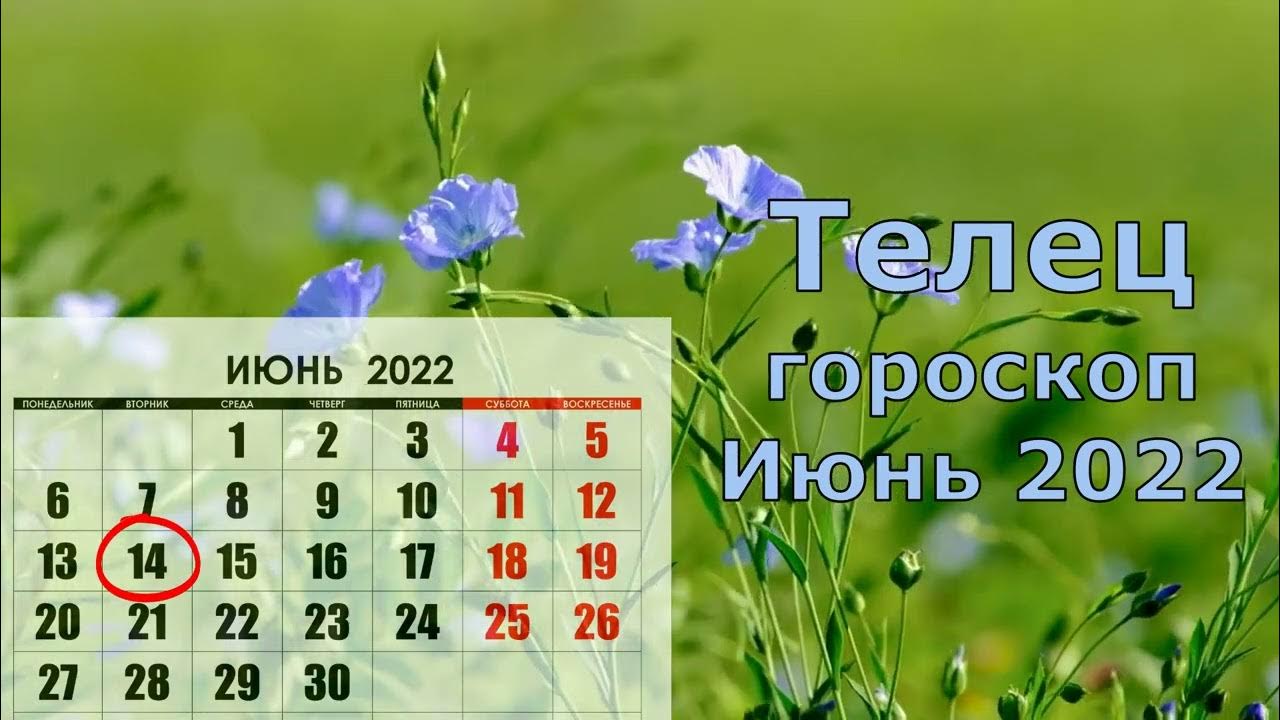 Гороскоп на июнь тельцам. Выходные в июне. Выходные в Татарстане. Нерабочие дни в июне 2023. Июнь 2023 в днях календарь.
