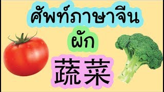 ศัพท์ภาษาจีน ผัก 蔬菜