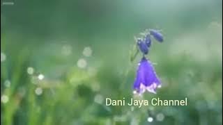 Sholawat Jibril | Meditasi dzikir qolbu | Sholawat Jibril