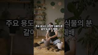 상토 VS 배양토 #상토 #배양토 #씨앗발아 #영양소 #분갈이 #보습성 #배수성