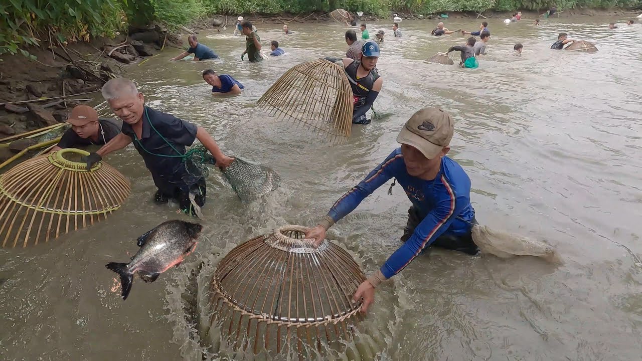 Nơm cá chép khủng hưng hugo