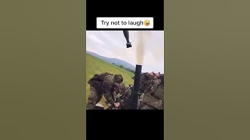 Wee meme #Shorts #funny #Wee #meme #animals #funnyvideo #viral #tiiktok