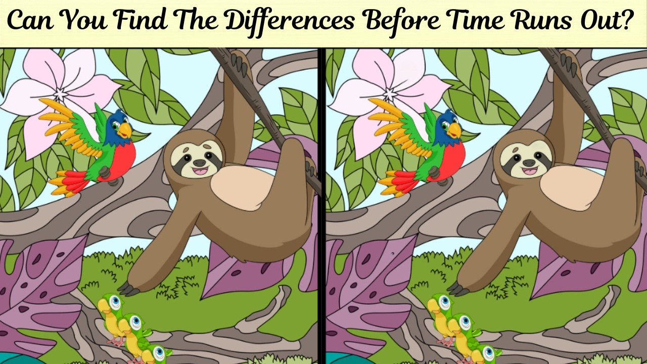 Spot the Difference South American Animals: Can You Spot Them All ...