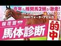 【桜花賞 2022】昨年は推奨馬が２着＆８人気３着！デキ抜群の◎本命が桜の女王戴冠へ！某大手牧場の元スタッフが見抜くGI馬体診断！GIフォトパドック【競馬 予想】