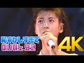[4K] 미나미노 요코(南野陽子) - 恥ずかしすぎて 1986 FIRST CONCERT 4K AI Upscaling