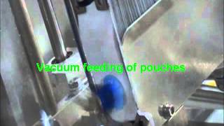 MGS RPP for Batch Counting Pouches