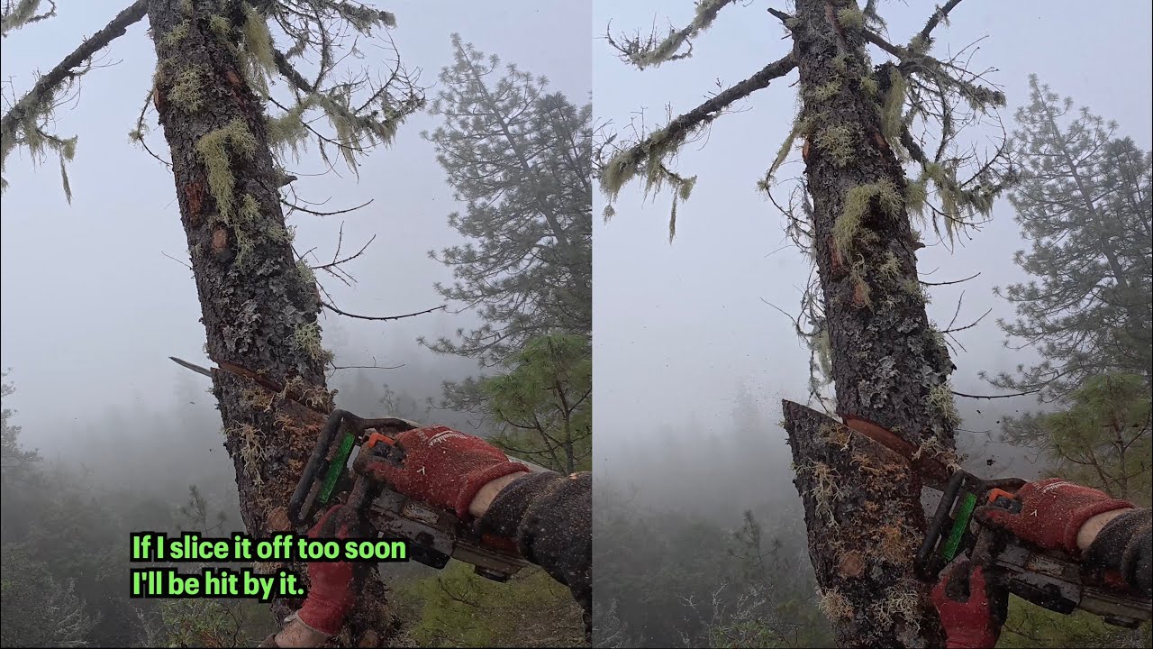 The Slice Cut: Reducing Side Force on Tall Dead Snags