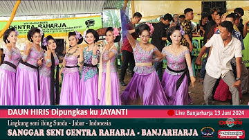 TERBARU ! Daun Hiris di pungkas JAYANTI I Seni ibing Ronggeng GENTRA RAHARJA pagelaran Banjarharja