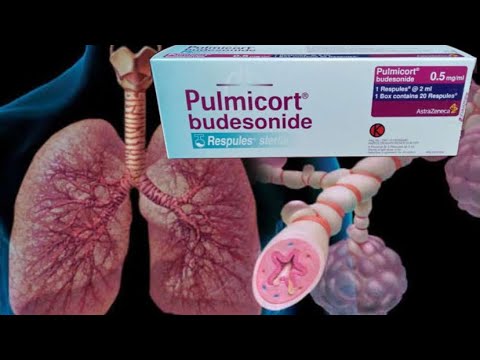 Informasi obat Nebul Pulmicort budesonide (Kortikosteroid inhalasi) untuk Mengatasi Serangan Asma