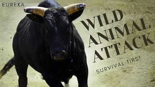 13 TIPS on how to SURVIVE a WILD ANIMAL ATTACK!