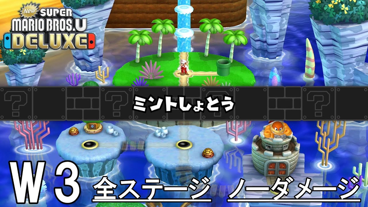 New スーパーマリオブラザーズUデラックス】W-3 ミントしょとう (全27