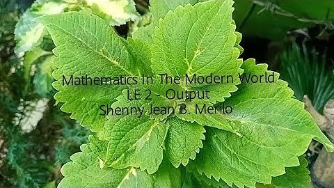 Mathematics In The Modern World (MMW) (Patterns In Nature) Shenny Jean B. Merilo LE 2 - Output