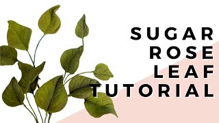 Sugar Rose Leaf // Realistic Sugar Flowers with Finespun Cakes