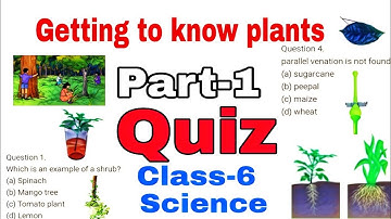 QUIZ / Class-6 SCIENCE/ Getting to know plants / NCERT SCIENCE Chapter / Extra MCQ Question Answers