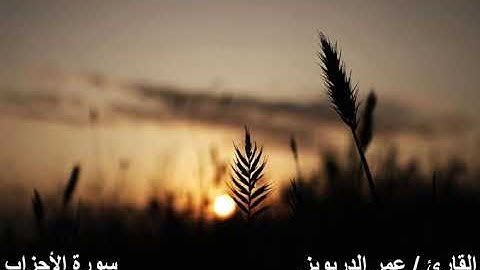 سورة الأحزاب..  الآيات  ( ٤١ _ ٤٨)
