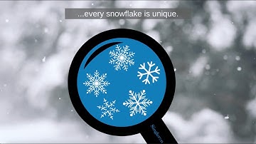 What do snowflakes and cells have in common?