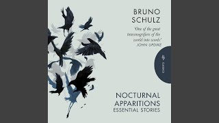 Chapter 90 - Nocturnal Apparitions