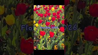 Floriade Canberra 2026 #floriade #spring #tulips. Morning walk through the tulips... 🌿🌷