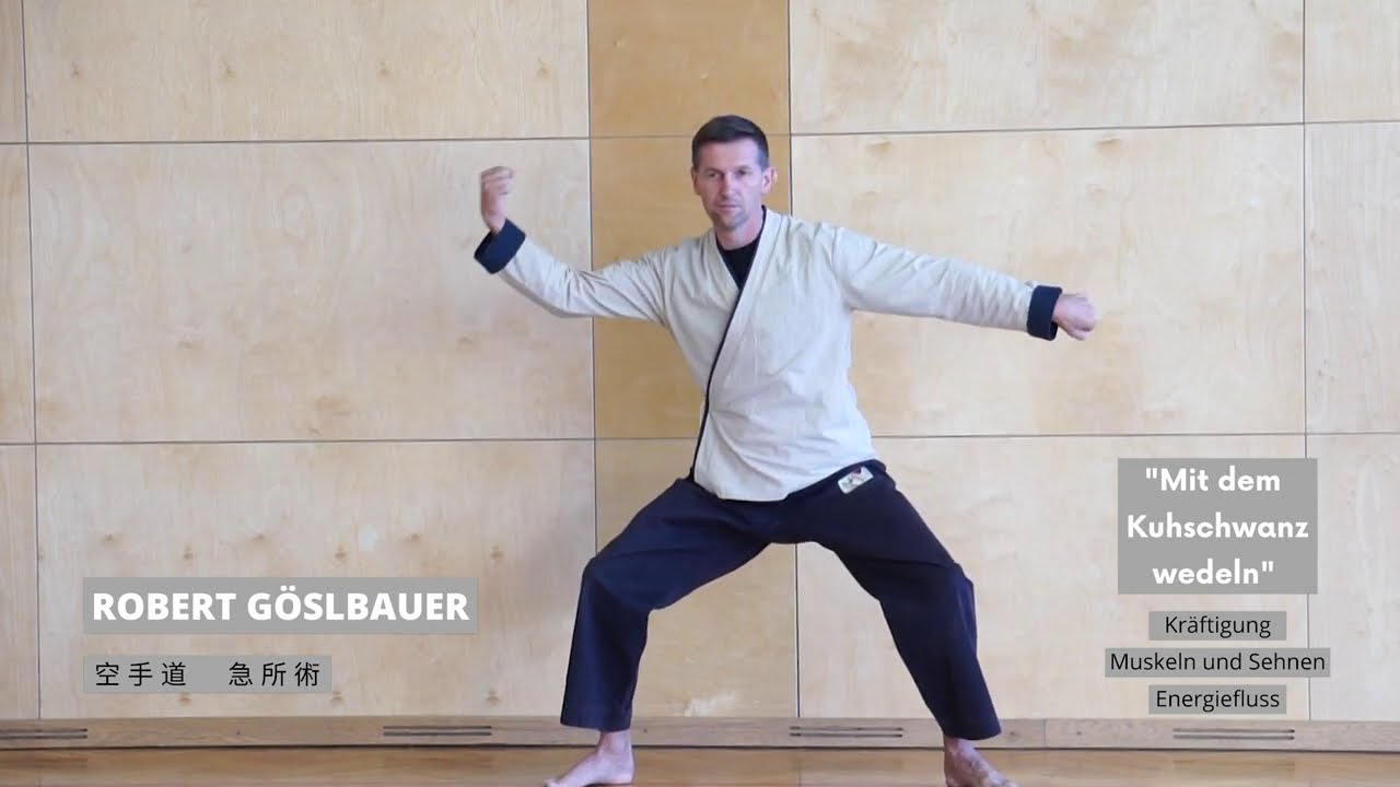 Qi Gong mit Robert Göslbauer | Energie positiv lenken | Baha Balance