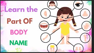 English vocabulary for kids |||Fun English Vocabulary \& Body Parts Learning|||Common Body parts name