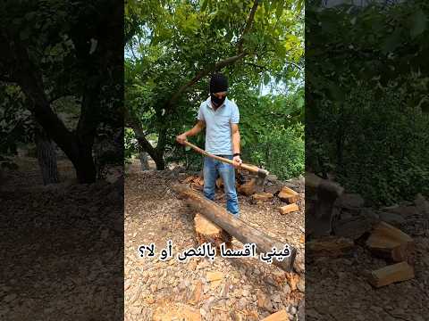 فيني اقسما بالنص أو لا خشب حور أشجار خشب حطب تقطيع الحطب فأس طبيعة