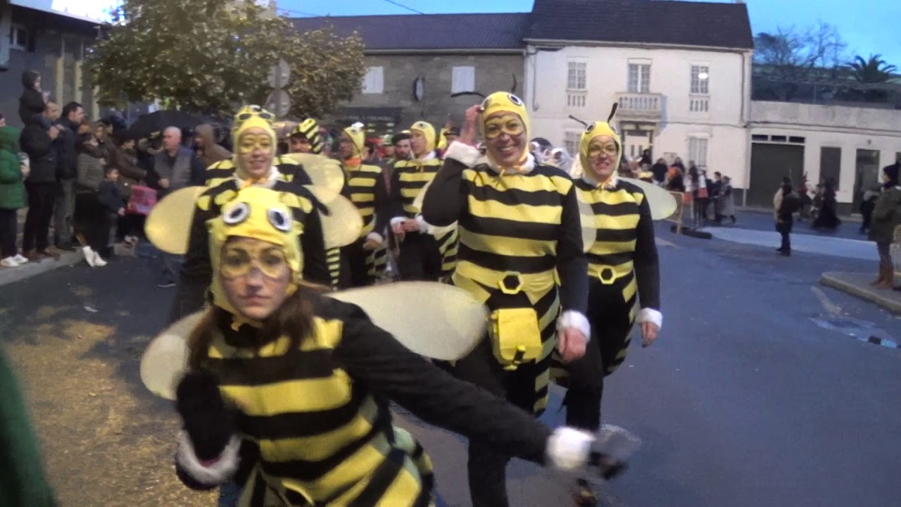 Desfile Puentevea entroido 2018 (2)