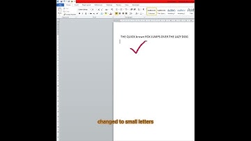 How to Change Capital Letters to Small Letters in Ms Excel #u-oneincanada