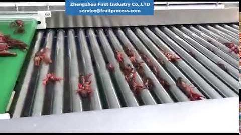 lobster grading machine, crayfish grading machine