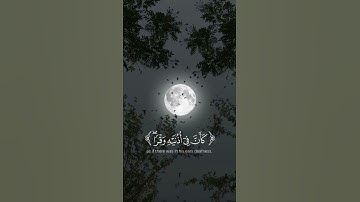 وَإِذَا تُتْلَىٰ عَلَيْهِ آيَاتُنَا # ياسر الدوسري # سورة لقمان 