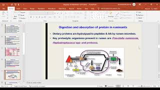 ANN UG Class by Dr. Kaushalendra Kumar, Dept. of ANN, BVC by Bihar Animal Sciences University, Patna 1,381 views 2 years ago 34 minutes