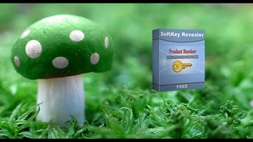 ¿Como encontrar todos los serial keys de tus programas intalados en tu pc?