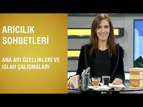 Aslı Özkırım İle Arıcılık Sohbetleri - Ana Arı Özellikleri ve Islah Çalışmaları/ 44. Bölüm