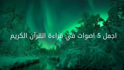 اجمل 5 أصوات في قراءة القرآن الكريم أصوات تخشع لها القلوب