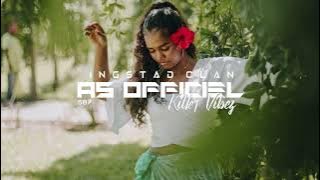 STYLEX SAAH - On & On ( MASHUP REMIX 2025 )