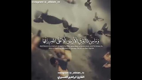 القارئ ابراهيم العسيري