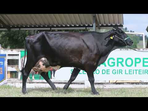 LOTE 09 - 5501CH