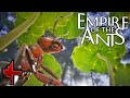 The Ultimate Stealth Mission: Infiltrating the Termite Nest! | Empire of the Ants Gameplay - Part 9