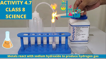 ACTIVITY 4.7 ll CLASS 8 ll SCIENCE ll CHAPTER 4 ll NCERT ll ANKITA MAM