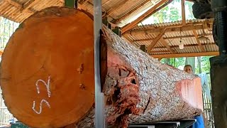 tembus 5000 U$D. proses penggergajian kayu mahoni merah langka bahan baku meja pejabat Zimbabwe?