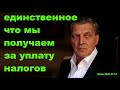 Невзоров - единственное что мы получаем за уплату налогов