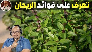 تعرف على منافع وفوائد الريحان واستخداماته العلاجية مع الدكتور عماد ميزاب imad Mizab