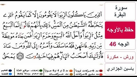 حفظ بالاوجه - الوجه 46 - سورة البقرة - ياسين الجزائري - ورش - مكررة