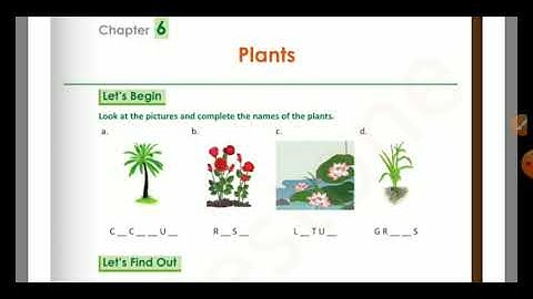 Mylestone EVS chapter 6 Plants