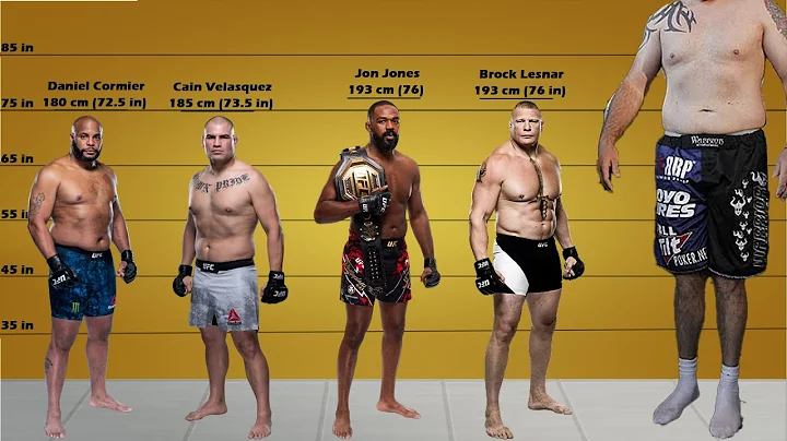All Ufc Heavyweight Champions Size Comparisons (and interim Champion)