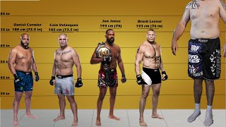 All Ufc Heavyweight Champions Size Comparisons (and interim Champion)
